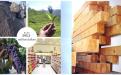 Embedded thumbnail for Video about Abkhazia