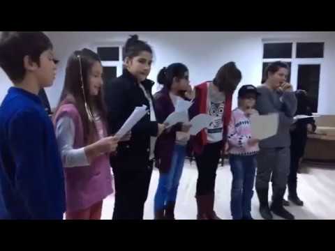 Embedded thumbnail for Diyasporada anadil eğitimi